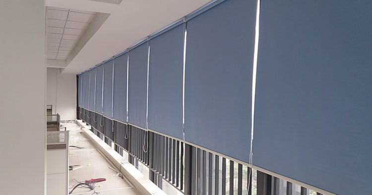 Blackout Dual Roller Blinds